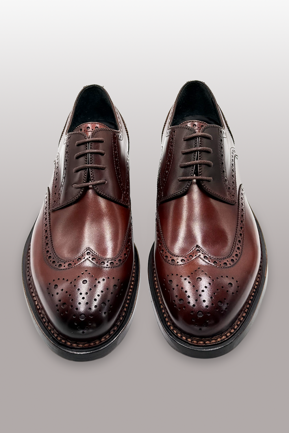 SCARPA DERBY BROGUE IN PREGIATA PELLE SHELL CORDOVAN