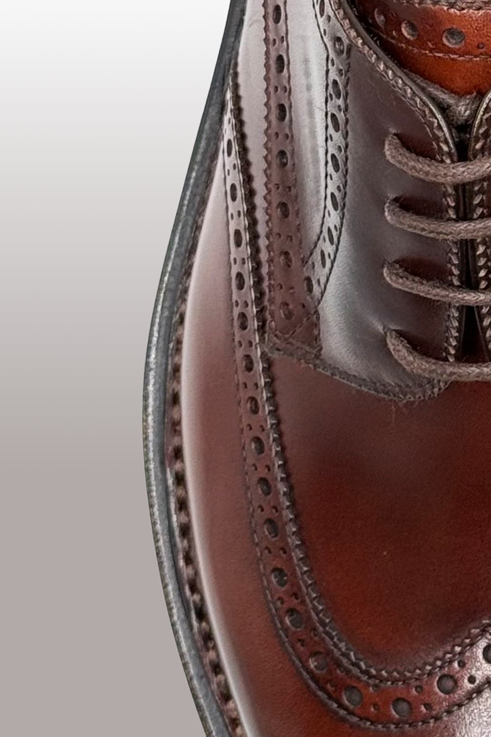 SCARPA DERBY BROGUE IN PREGIATA PELLE SHELL CORDOVAN