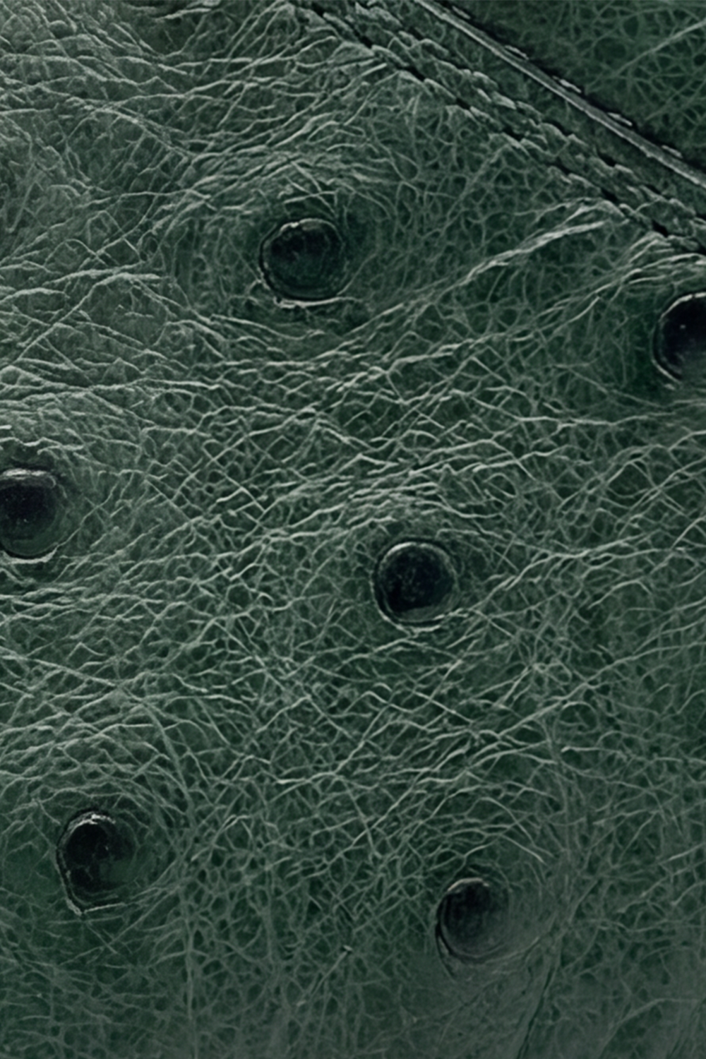 Ostrich-Leather Sneakers – Forest Green