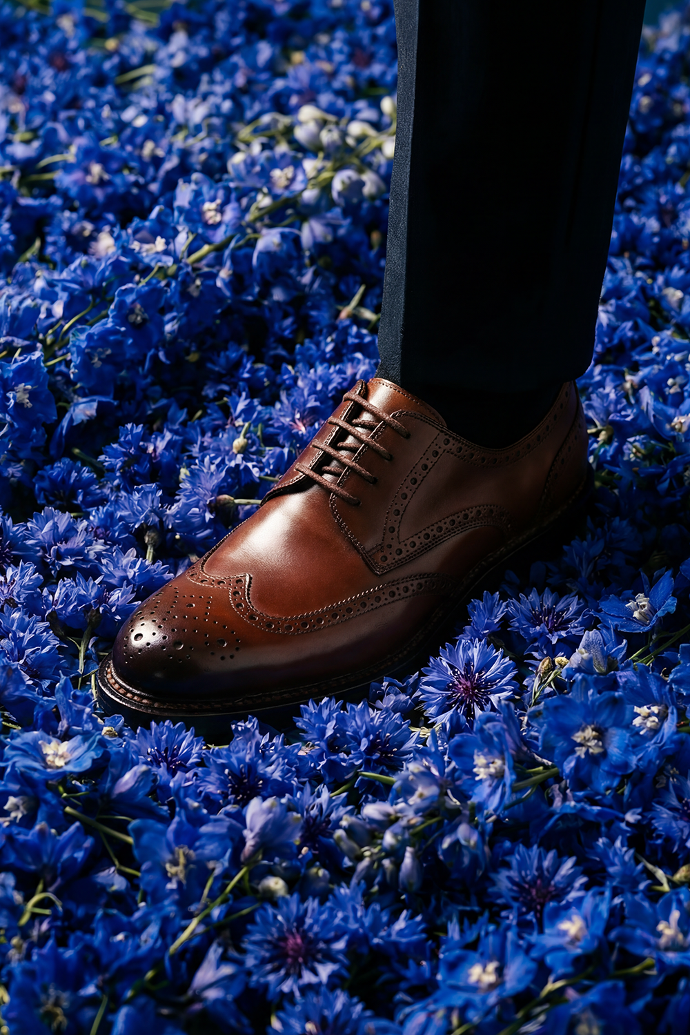 SCARPA DERBY BROGUE IN PREGIATA PELLE SHELL CORDOVAN